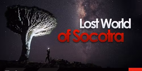 The Lost World of Socotra | NYE in Socotra, Yemen
