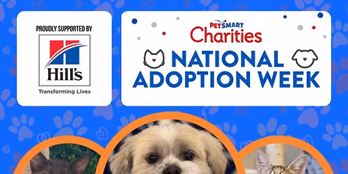 National Adoption Week Special Events @ Petsmart Boca & Lauderhill