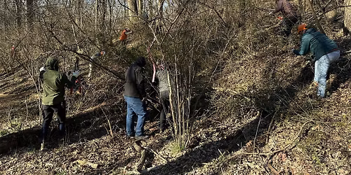 Give Back to Nature at High Family Nature Preserve