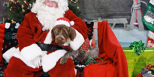 Photos with Santa Paws at NWSNC