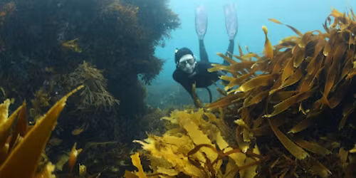 Intro to Freediving Course