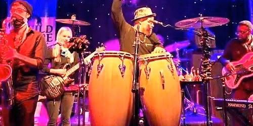 Rick King's Royal Hustle: Live at Rosa's Lounge!