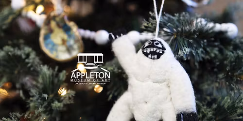 Appleton Store Black Friday Sale