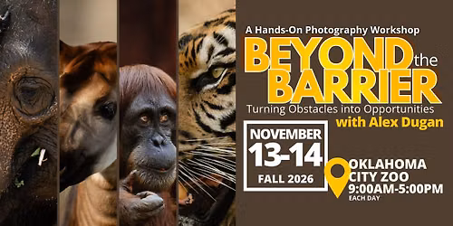 Beyond the Barrier: Turning Obstacles into Opportunities - Photo Workshop with Alex Dugan