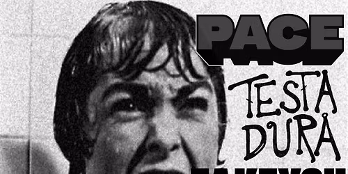 PACE - TESTA DURA - FAKEYOU