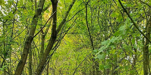 Two pretty villages of Kent and the North Downs Hike