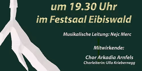 Weihnachtskonzert ✨ der Marktmusikkapelle Eibiswald 