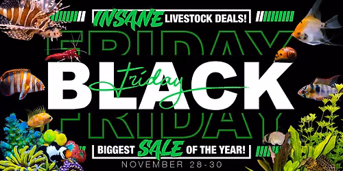 Whitlyn Aquatics INCREDIBLE BLACK FRIDAY EVENT!!