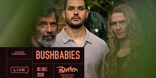 Bushbabies