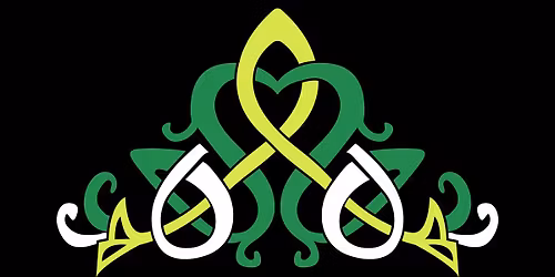 VWID Academy Class Feis 2025