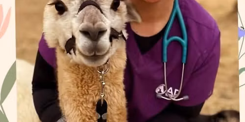 Pucketts Surprise Bowling & Bon fire party