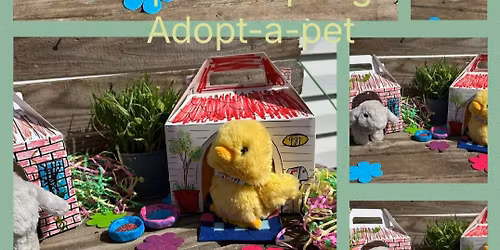 Spring Adopt a Pet Mini Art Camp