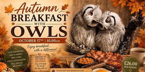 Autumn Breakfast with Owls
