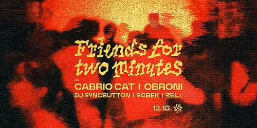 Friends for two minutes \/\/ Cabrio Cat + Obroni + Dj Syncbutton + Sobek + ZEL.\u03b6 @Turbina Nagyterem