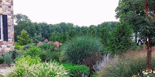 Creating Native Plant Communities