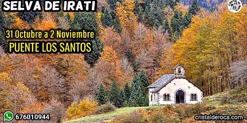 Selva de Irati \ud83c\udf42\ud83c\udf41 Los Santos