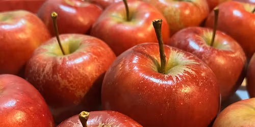 Half Term Big Community Apple Day