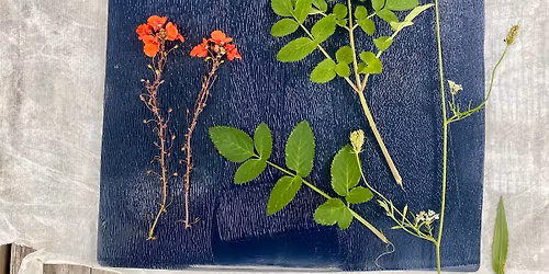 Botanical Print Making