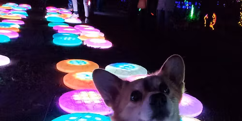 2025 Meadowlark Gardens Winter Walk of Lights