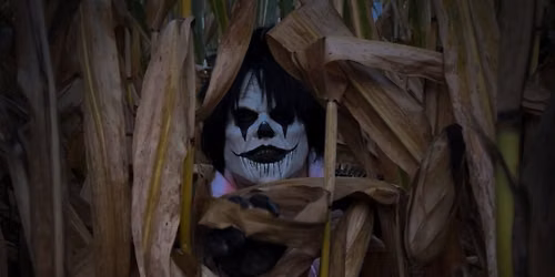 Rietvelds Haunted Corn Maze Oct 16th & 17th