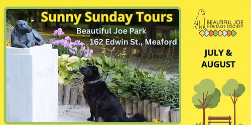 Sunny Sunday Tours