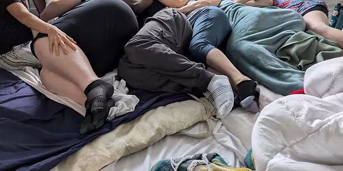 Community Cuddles *ARVADA* June 26th, 2026