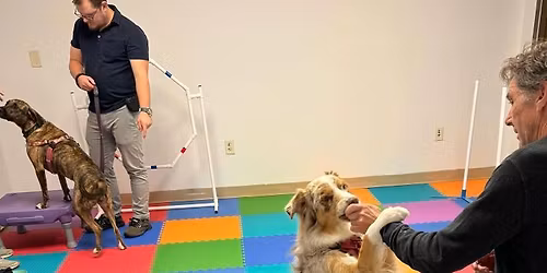 Basic Manners @ Dickin