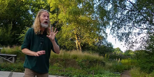 Verhalenavond in het park: Elfen en heksen