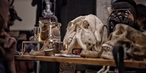 Oddities and Curiosities Expo at Florida State Fairgrounds Expo Hall