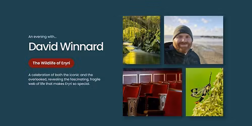 The Wildlife of Eryri by David Winnard