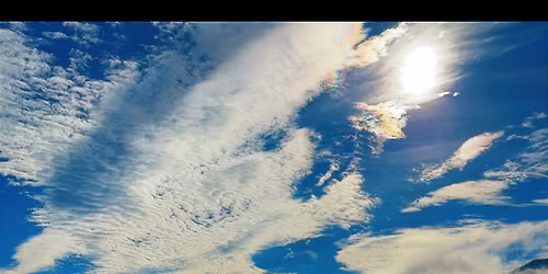 Midtnorsk Adferdssenter \/\/ Turtreff \ud83d\udc15\ud83e\udd0d\ud83c\udf41 - Trondheim