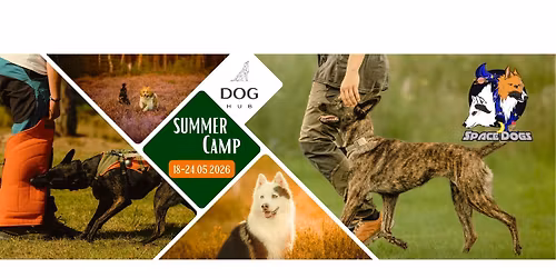 SPACEDOGS Summer Camp 2026!