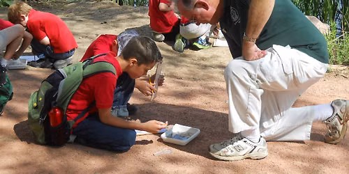 Homeschool Fridays: Discover Wetlands