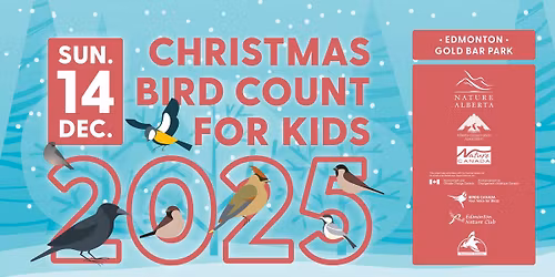 Christmas Bird Count for Kids 2025