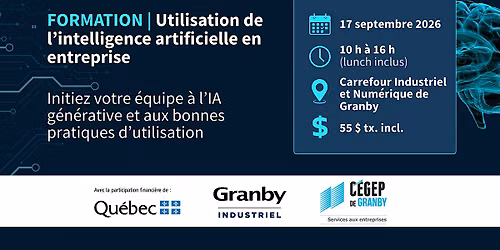 Utilisation de l’intelligence artificielle en entreprise, 4e représentation