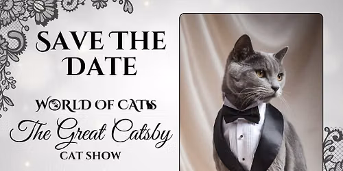 The Great Catsby