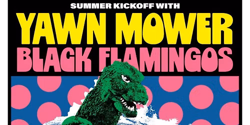 Yawn Mower x Black Flamingos