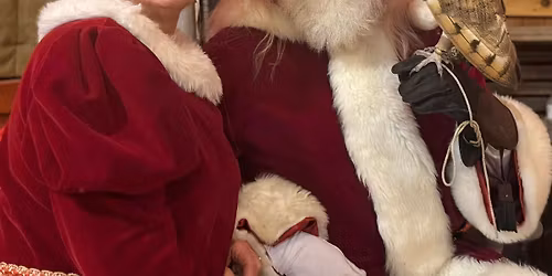 Christmas for the Birds