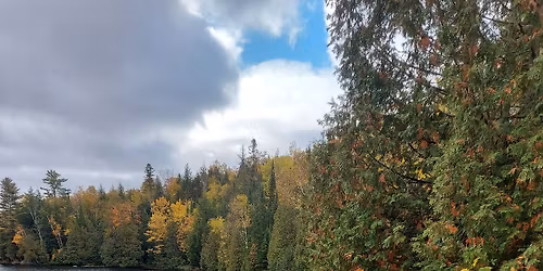 Masculine Card class