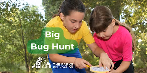 Big Bug Hunt at Watermans Park