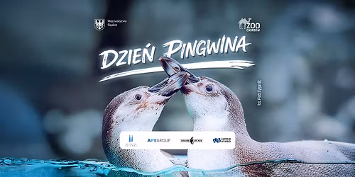 Dzie\u0144 Pingwina w \u015al\u0105skim ZOO