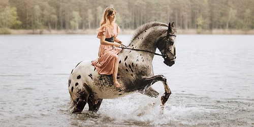 SeaHorses - sesje zdj\u0119ciowe z ko\u0144mi w jeziorze
