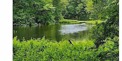 Adult Hike - High Rock - Ohrbach Lake