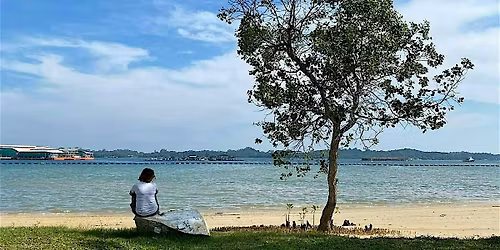 Returning to Presence: A Nature-Based Therapy Experience