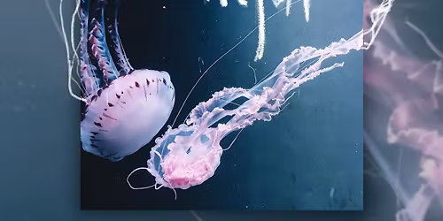 Mjut | Warszawa | 9.11 | CHMURY