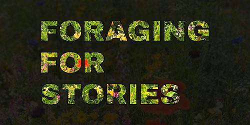 Foraging for Stories