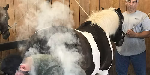 AFA All Levels Certification 