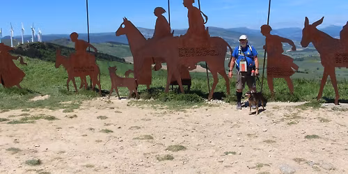 \u201eDie Zweisamkeit des Pilgers mit seinem Hund"