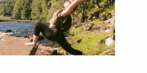 Beginners' Yoga Workshop