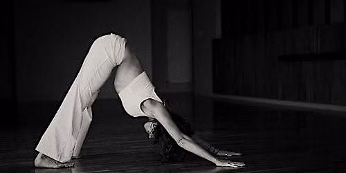 Hot Yoga at Morpho Bleu